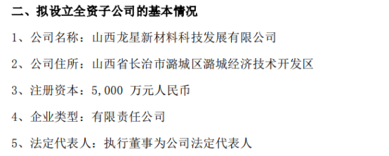 龙星化工投资5000万设立全资子公司实施碳基新材料循环经济产业项目 项目计划总投资31亿